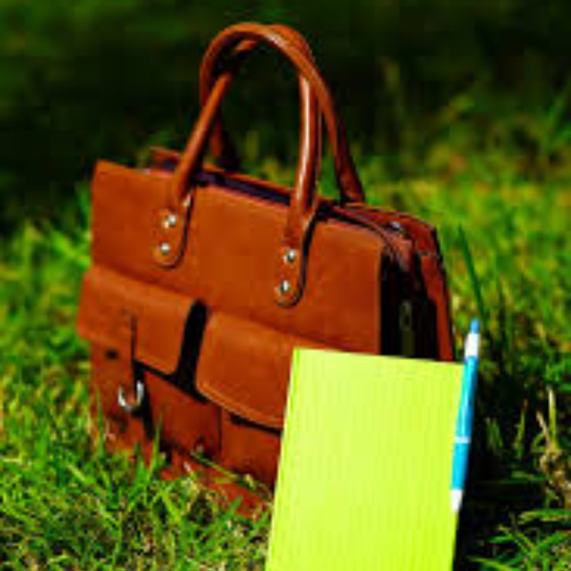 Dogo bag